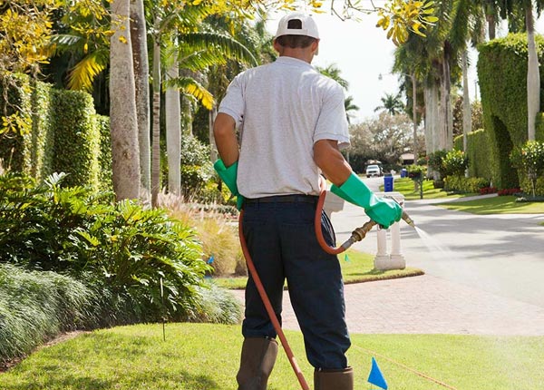About Gallant AL Pest Control